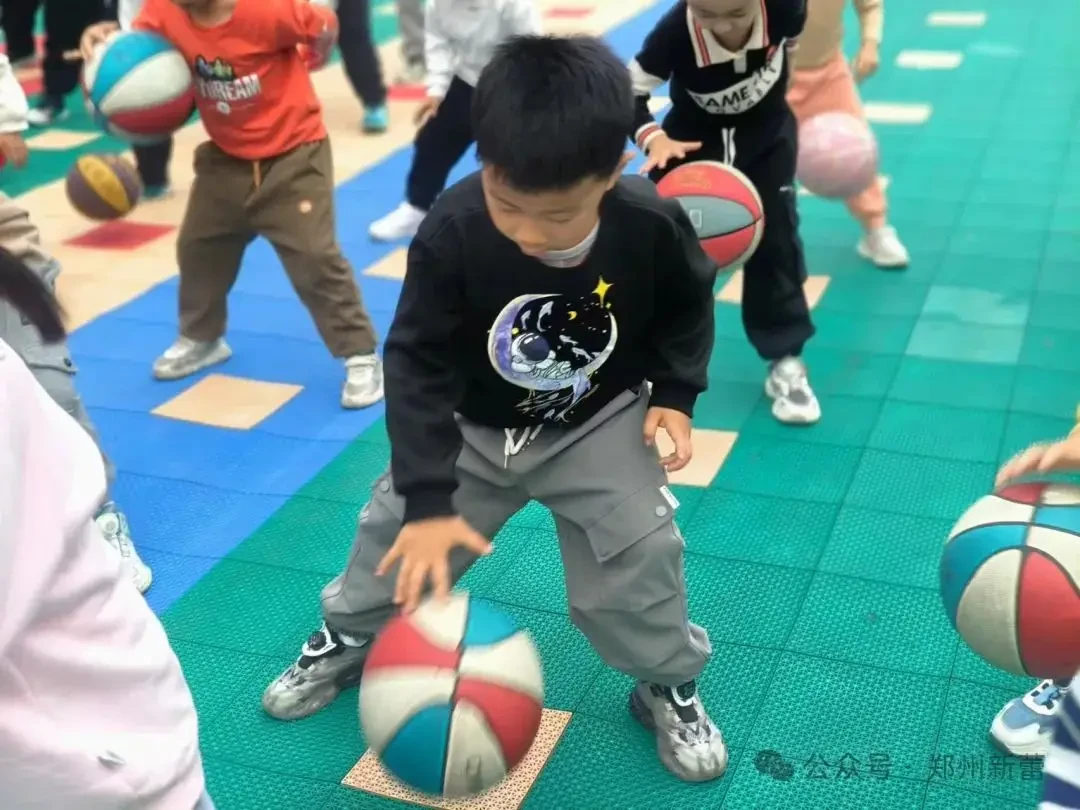如何通过数据分析优化篮板训练效果?_0